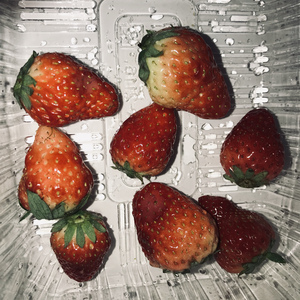 无码国产成人午夜电影在线观看
